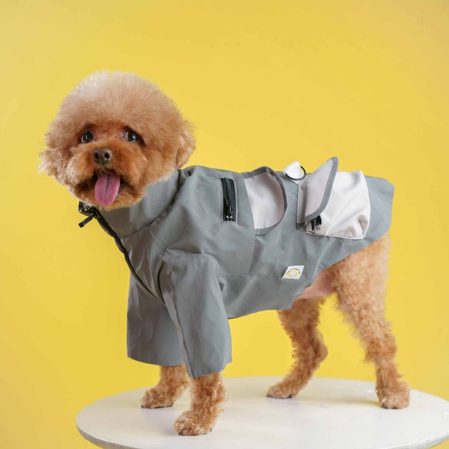 Dog Fashion Designer Reflective Outdoor Apparel