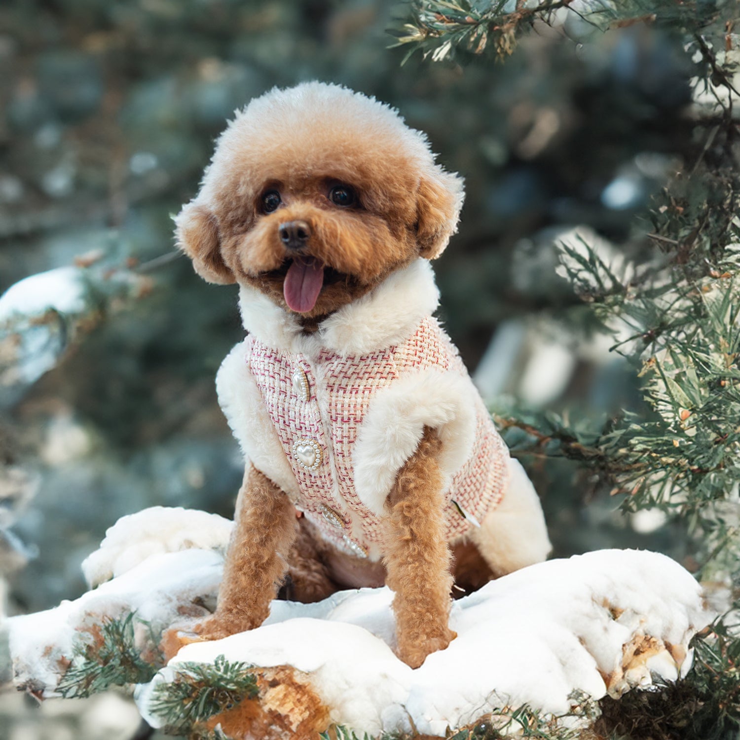 Hygge Pet lifestyle collection