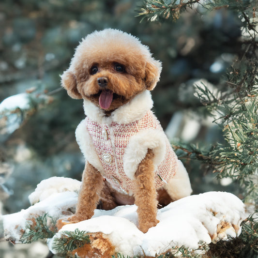 Luxury Tweed Harness