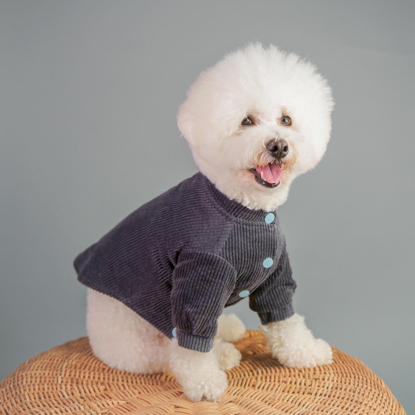 Hygge dog clothes pet fashion designer cotton-corduroy dog overshirt