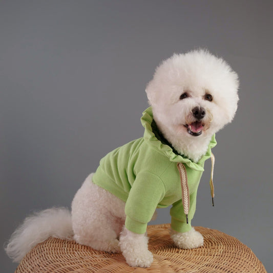 Hygge dog clothes pet fashion deisnger knit dog hoodie Green