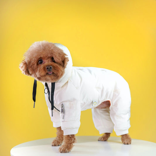 Dog Clothes Pet Fashion Designer - Puffer Dog Jacket