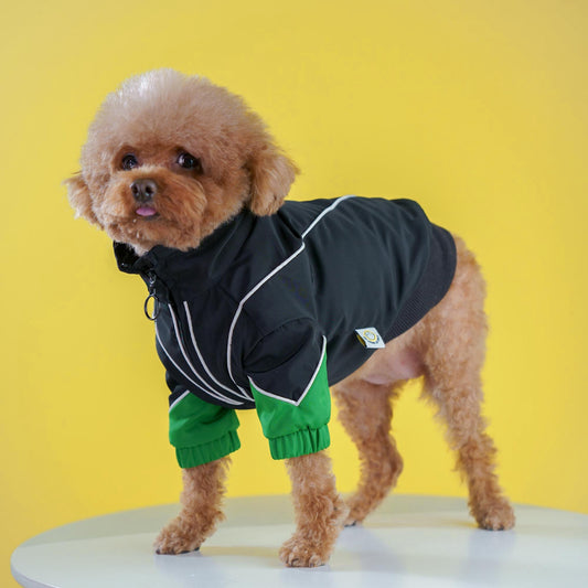 Hygge dog clothes pet fashion designer windbreaker dog jacket Black