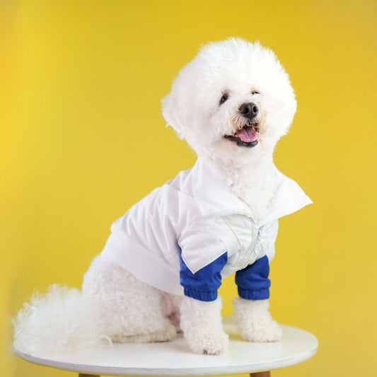 Hygge dog clothes pet fashion designer windbreaker dog jacket White