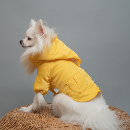 Hygge dog clothes pet fashion designer wizard puffer dog jacket Yellow