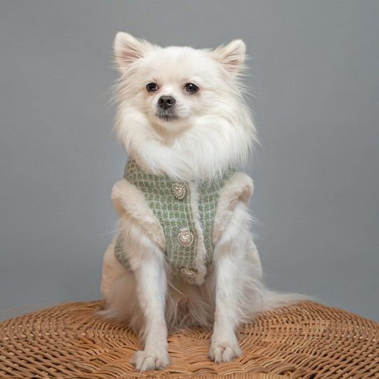 Hygge dog clothes pet fashion designer faux-fur tweed dog vest Green