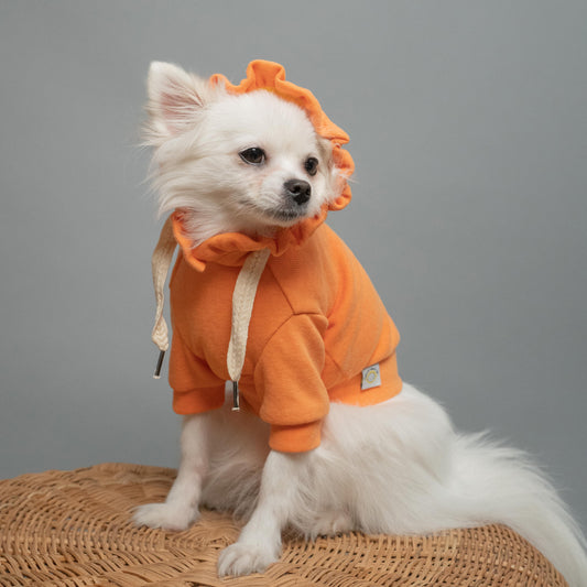 Hygge dog clothes pet fashion deisnger knit dog hoodie Orange